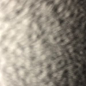 Meet your Posher, Noemi